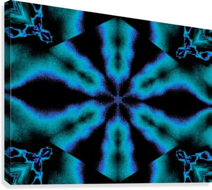 A Flower 2 Canvas Print