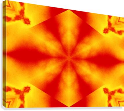 A Flower 6 Canvas Print