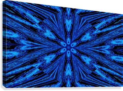Blue Grace Canvas Print