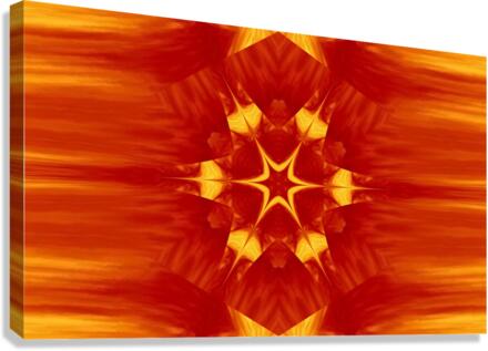 Star Flower Canvas Print