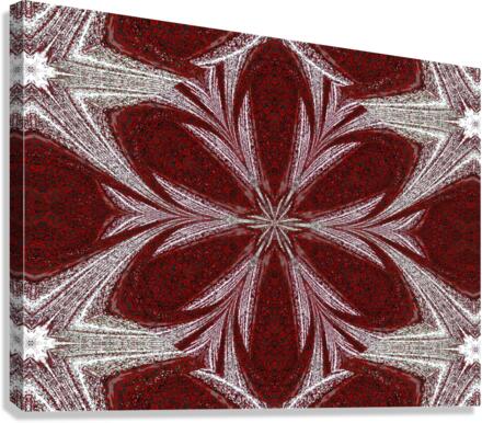 Red Daisy  Canvas Print