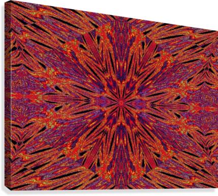 Psychedelic Daisy 3 Canvas Print