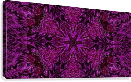 Pink Carnation Canvas Print