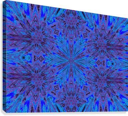 Morining Glory 1 Canvas Print