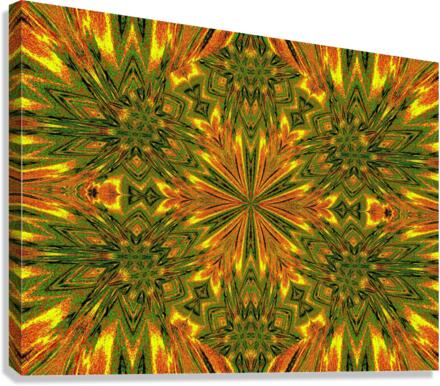 Morining Glory 3 Canvas Print