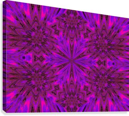 Morining Glory 2 Canvas Print