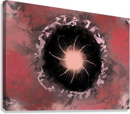 Pink Nova 1  Canvas Print