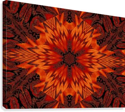 African Daisy Canvas Print