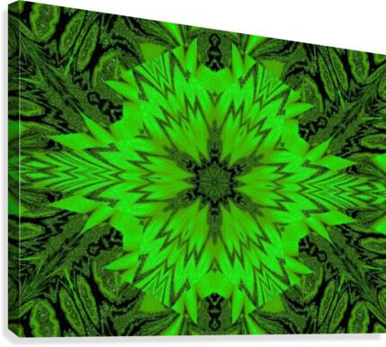 Emerald  Daisy Canvas Print