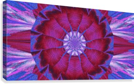 Red Carnation Canvas Print