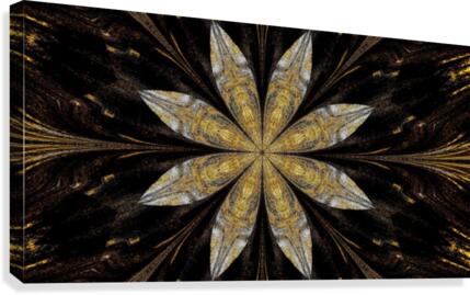 Winter Wildflower Canvas Print