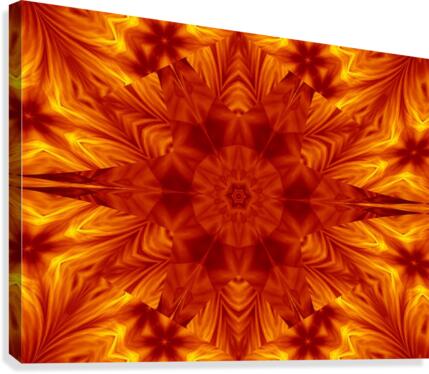 Fire Flowers 6 Canvas Print