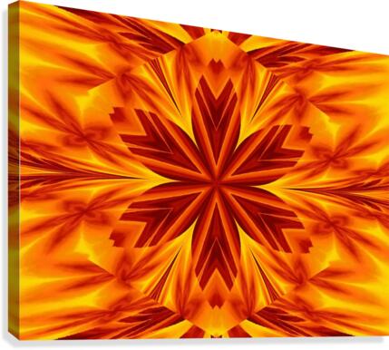 Fire Flowers 39 Canvas Print