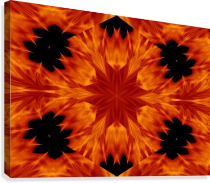 Fire Flowers 64 Canvas Print