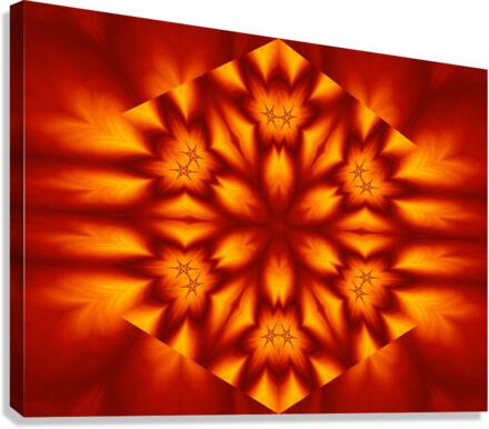 Fire Flowers 72 Canvas Print