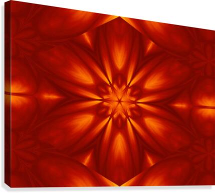 Fire Flowers 101 Canvas Print