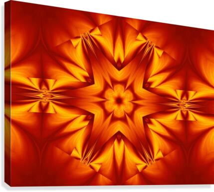 Fire Flowers 128 Canvas Print