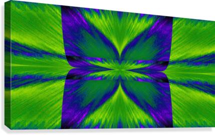 Emerald Butterfly Canvas Print