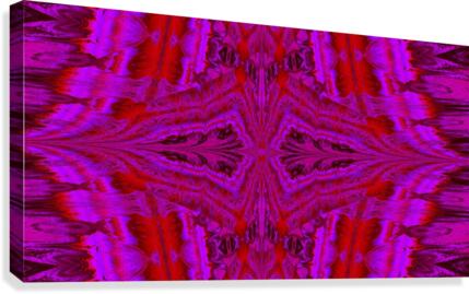 Painted Feathers Canvas Print
