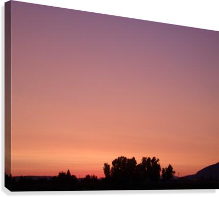 Sunset Over Trees 2 Canvas Print