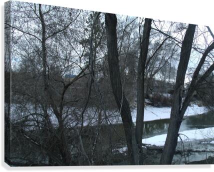 Spring Snow Trees 3  Canvas Print