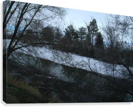 Spring Snow Trees 4  Canvas Print