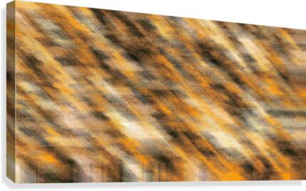 Liquid Light 18 Canvas Print