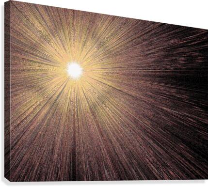 Winter Ice Sunshine  Canvas Print