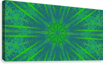 Snowflakes 2 Canvas Print