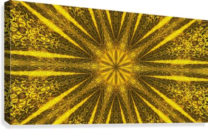 Snowflakes 5 Canvas Print