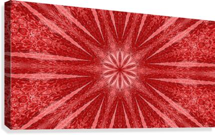 Snowflakes 8 Canvas Print