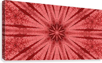 Snowflakes 9 Canvas Print