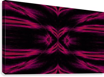 Feathers  Canvas Print