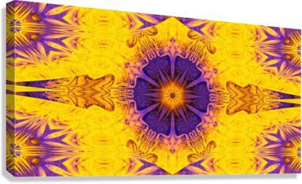 Northern Star Canvas Print
