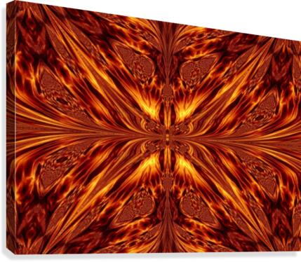 Fire Butterfly  Canvas Print