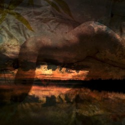Embracing Sunset