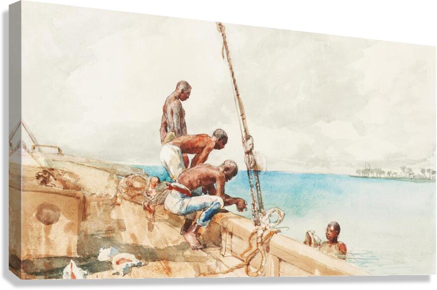 Conch Miscellaneous Canvas Print