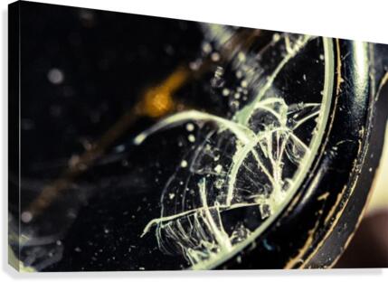 Abstract 022 Canvas Print