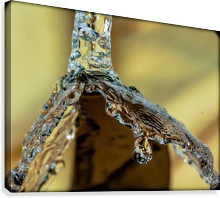 Abstract 038 Canvas Print