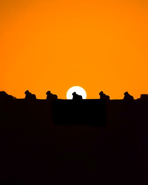 Setting Sun Meets Nandi | Silhouette | Temples of INDIA Print
