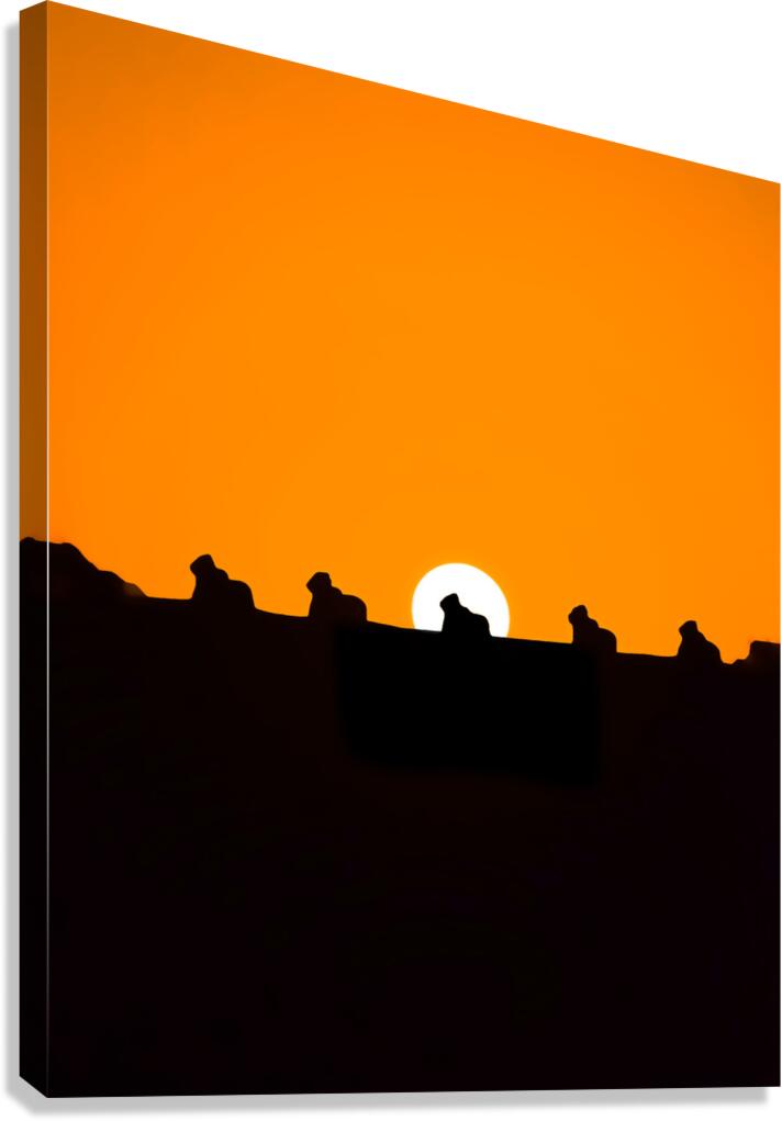 Setting Sun Meets Nandi | Silhouette | Temples of INDIA Canvas Print
