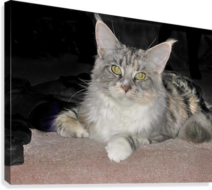 Ruby  Canvas Print