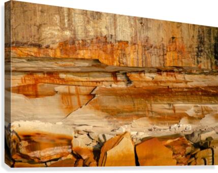 Rock Face Texture Canvas Print