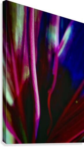 Abstract Composition Canvas Print