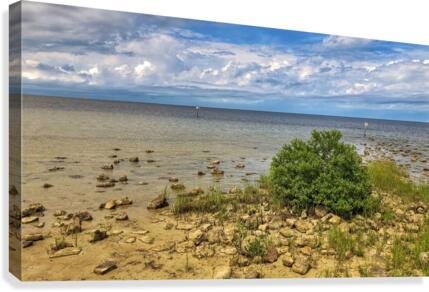 Pine Island Canvas Print