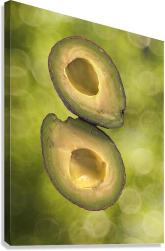 Avocado3 Canvas Print