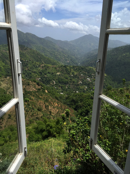 Coffee Plantation-- Blue Mountains--Jamaica by Christopher Nunes