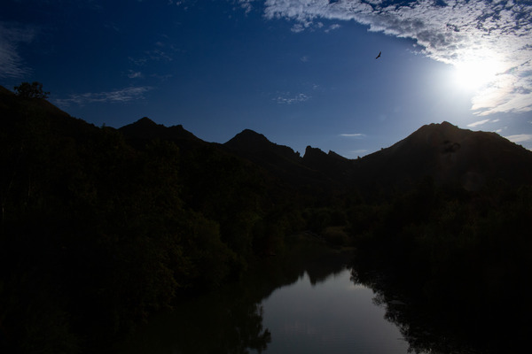 Bird Above Malibu Lake by Christopher Nunes
