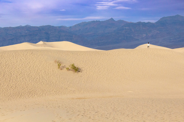 Look Out--Mesquite Dunes--Death Valley by Christopher Nunes