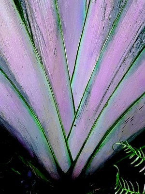 20181004_222209